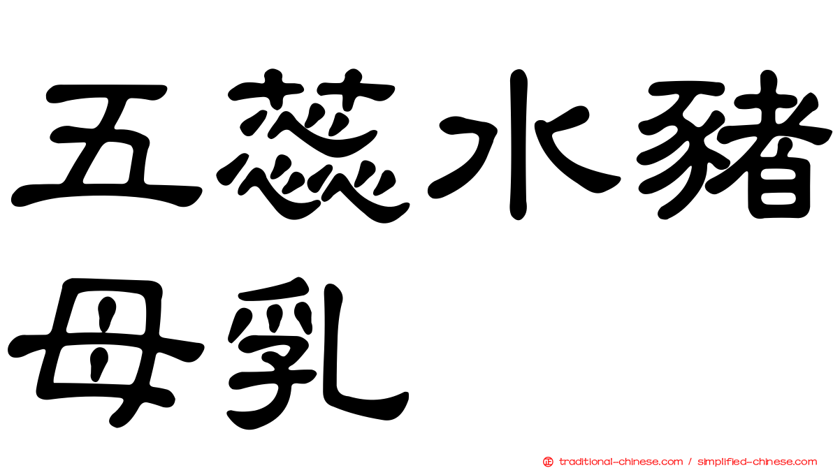 五蕊水豬母乳