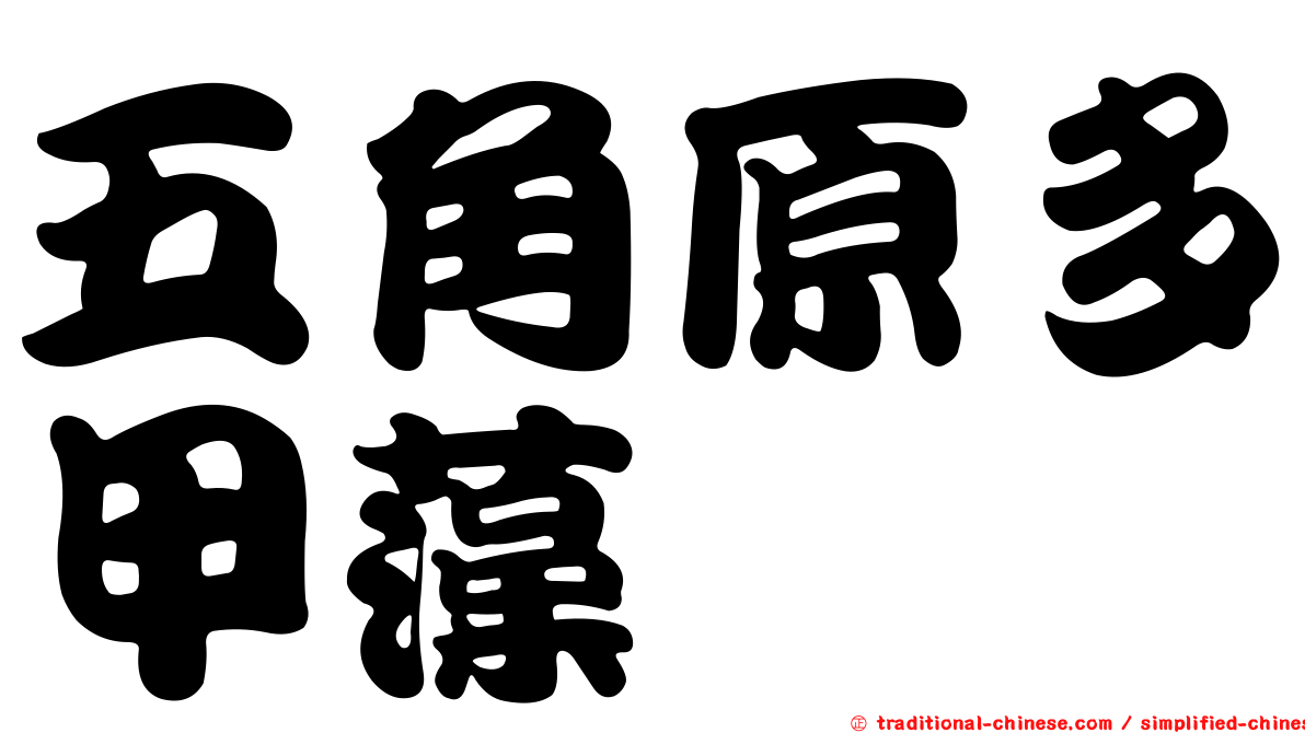 五角原多甲藻