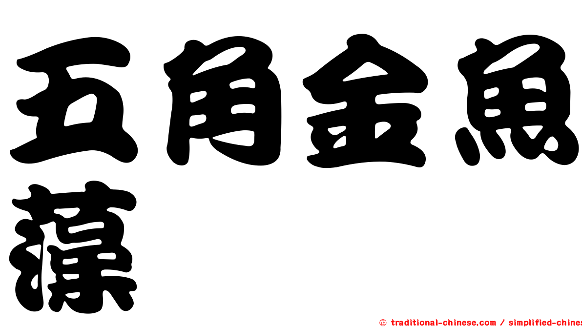 五角金魚藻