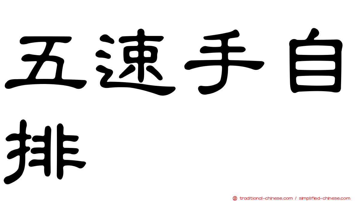 五速手自排