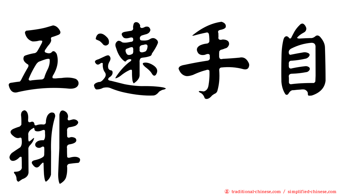 五速手自排