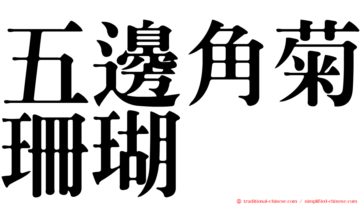 五邊角菊珊瑚