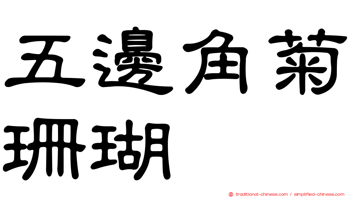 五邊角菊珊瑚