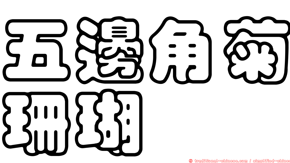 五邊角菊珊瑚