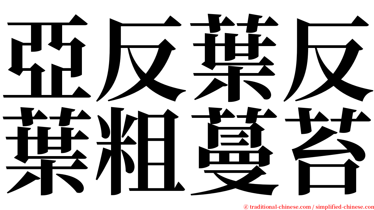 亞反葉反葉粗蔓苔 serif font