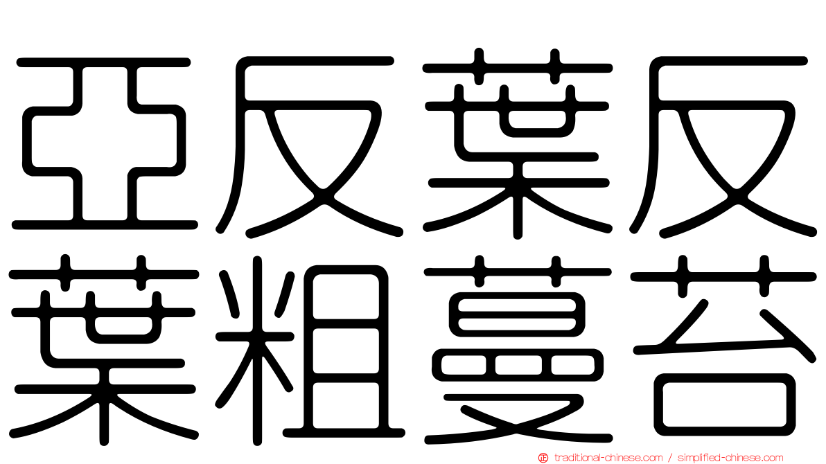 亞反葉反葉粗蔓苔
