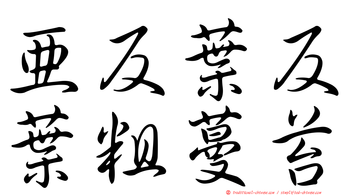 亞反葉反葉粗蔓苔