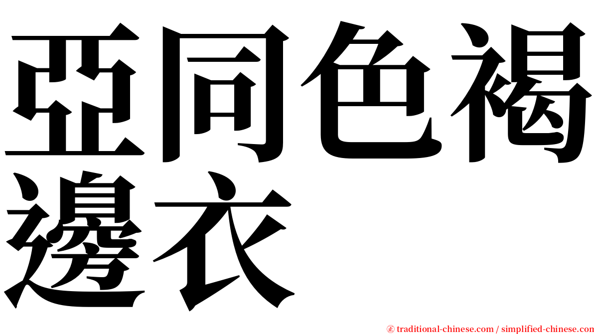 亞同色褐邊衣 serif font