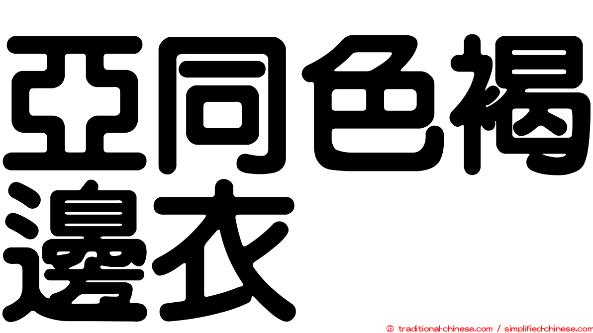 亞同色褐邊衣