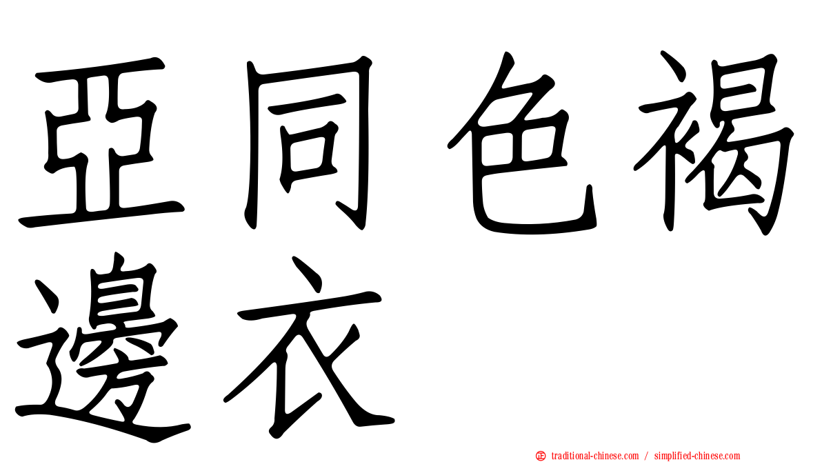 亞同色褐邊衣