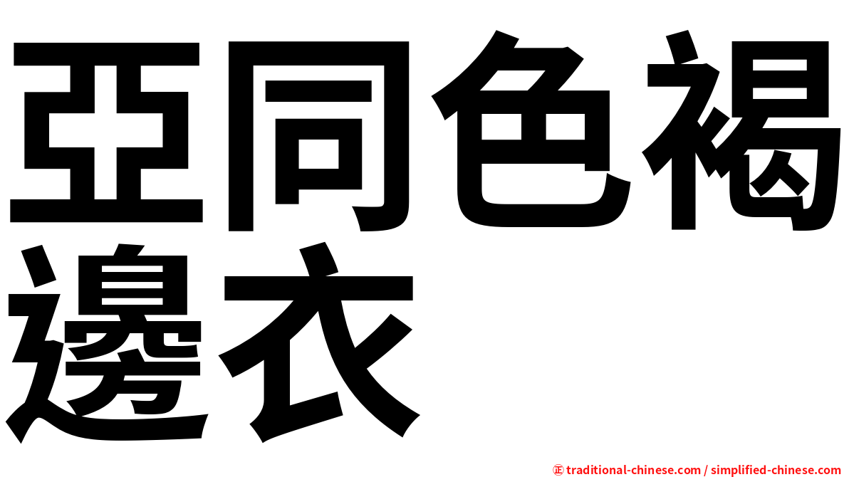 亞同色褐邊衣