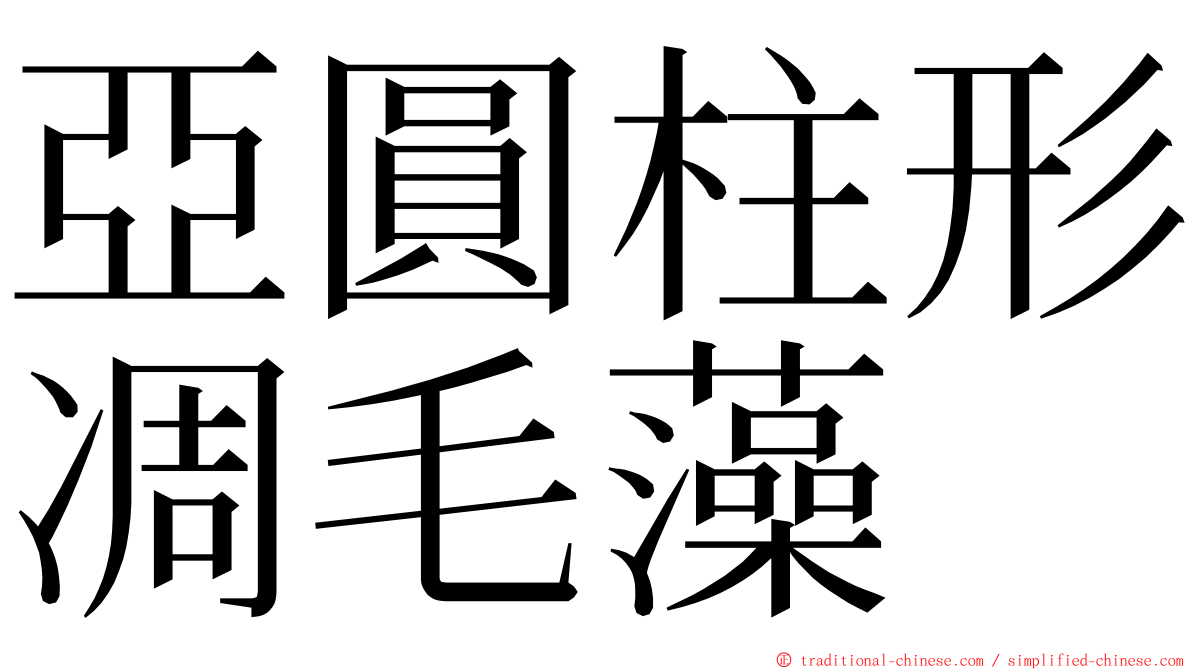 亞圓柱形凋毛藻 ming font