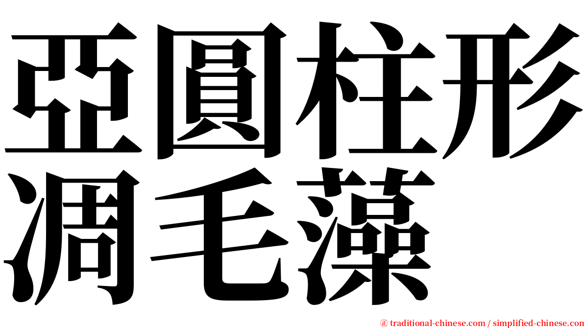 亞圓柱形凋毛藻 serif font