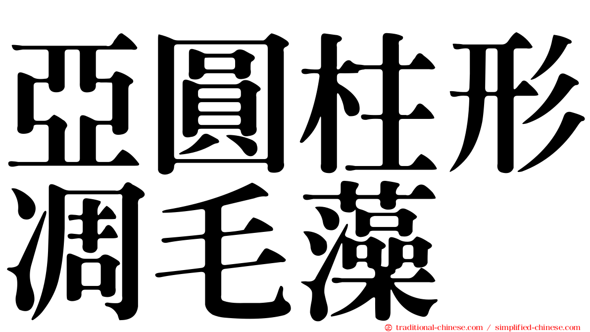 亞圓柱形凋毛藻