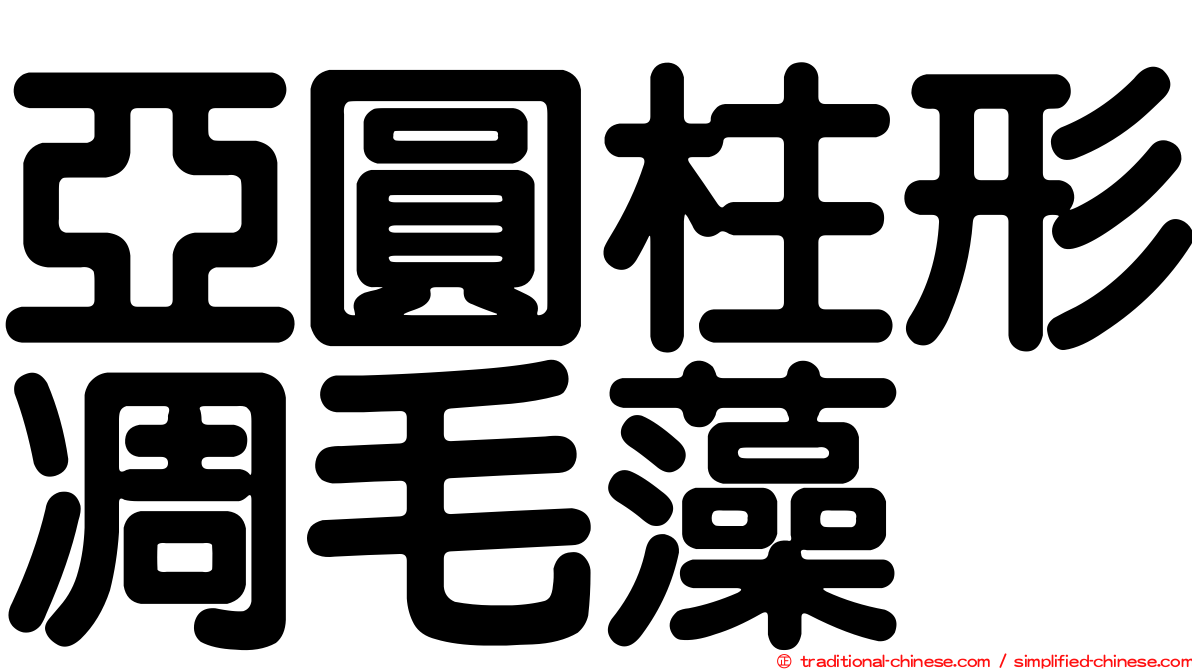 亞圓柱形凋毛藻