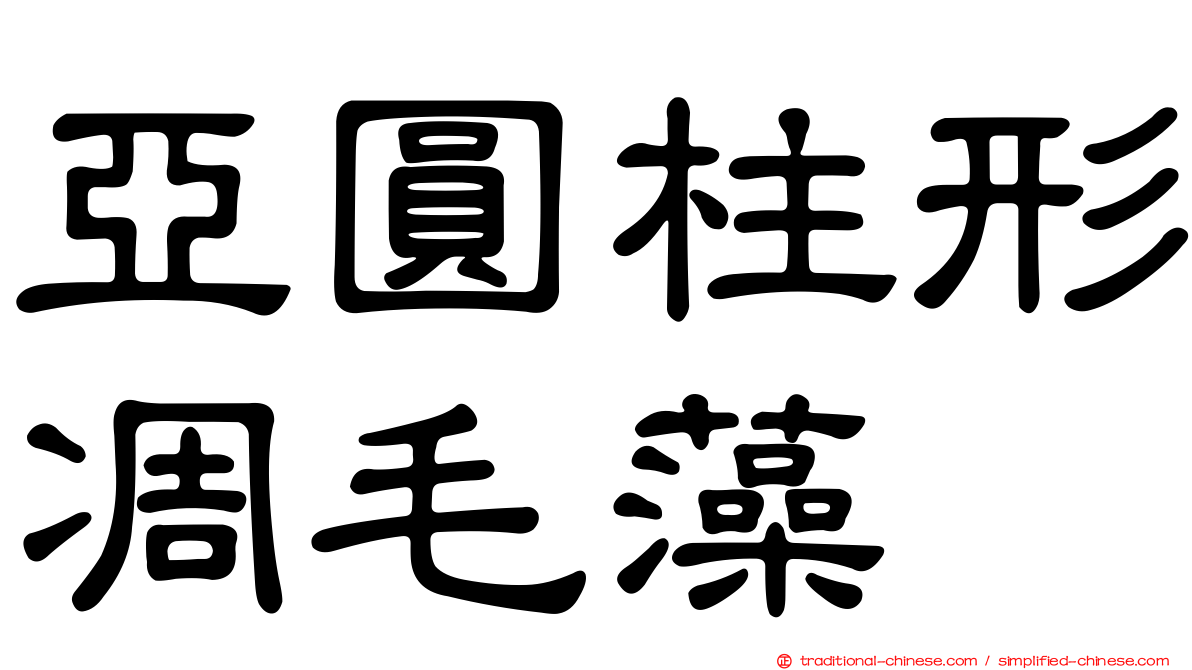 亞圓柱形凋毛藻