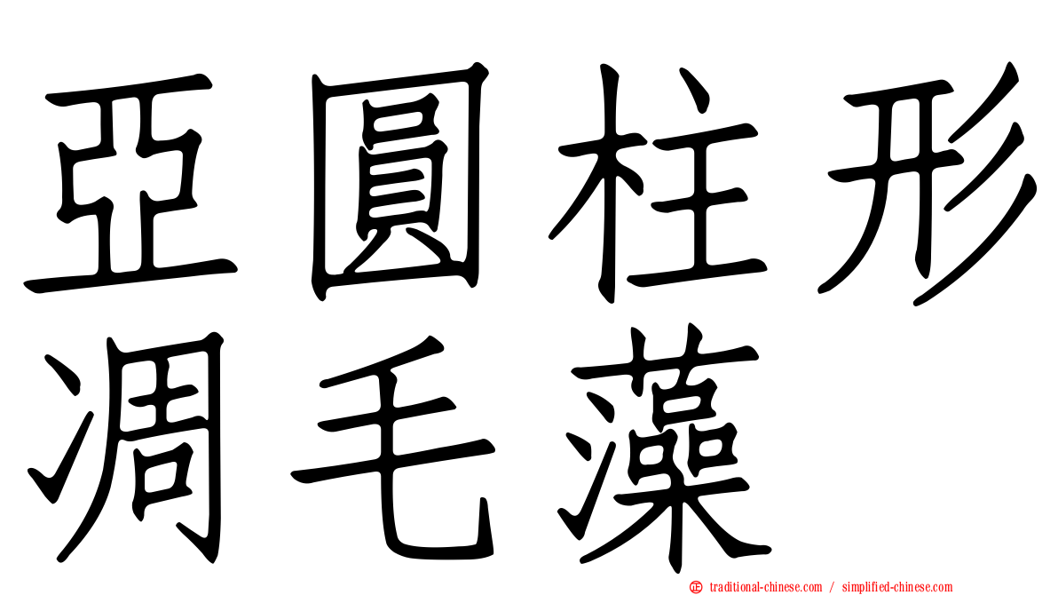 亞圓柱形凋毛藻