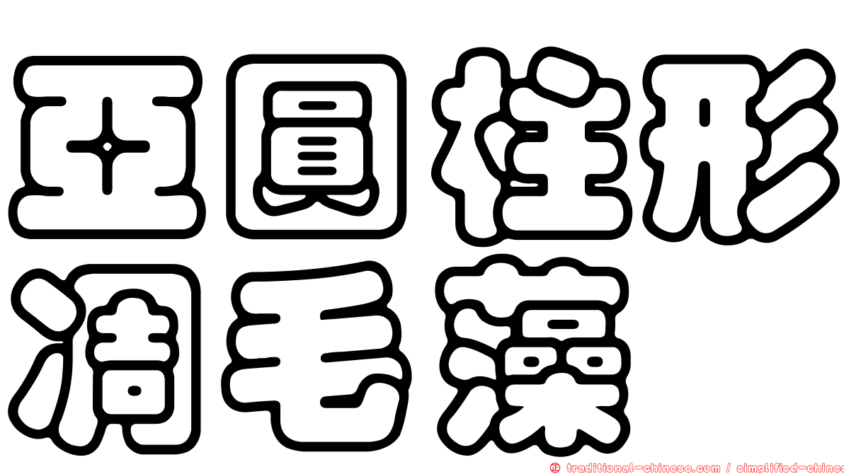 亞圓柱形凋毛藻