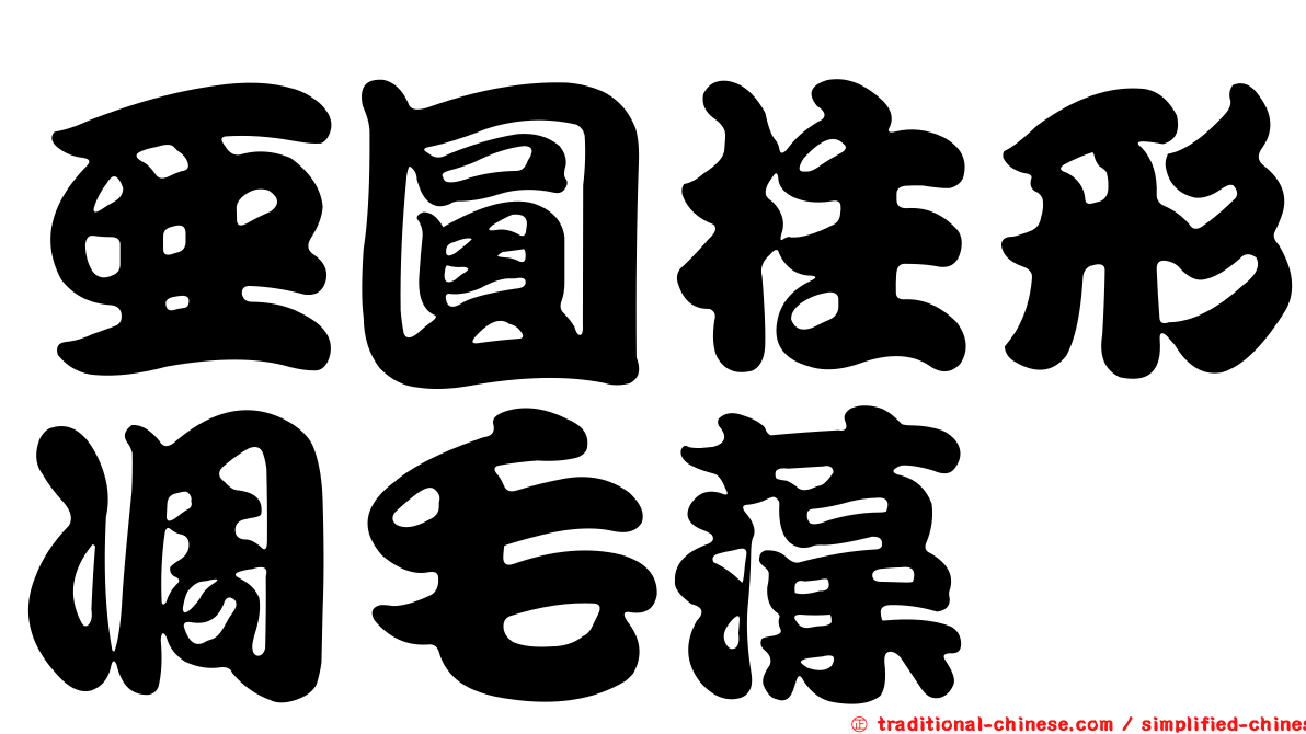 亞圓柱形凋毛藻