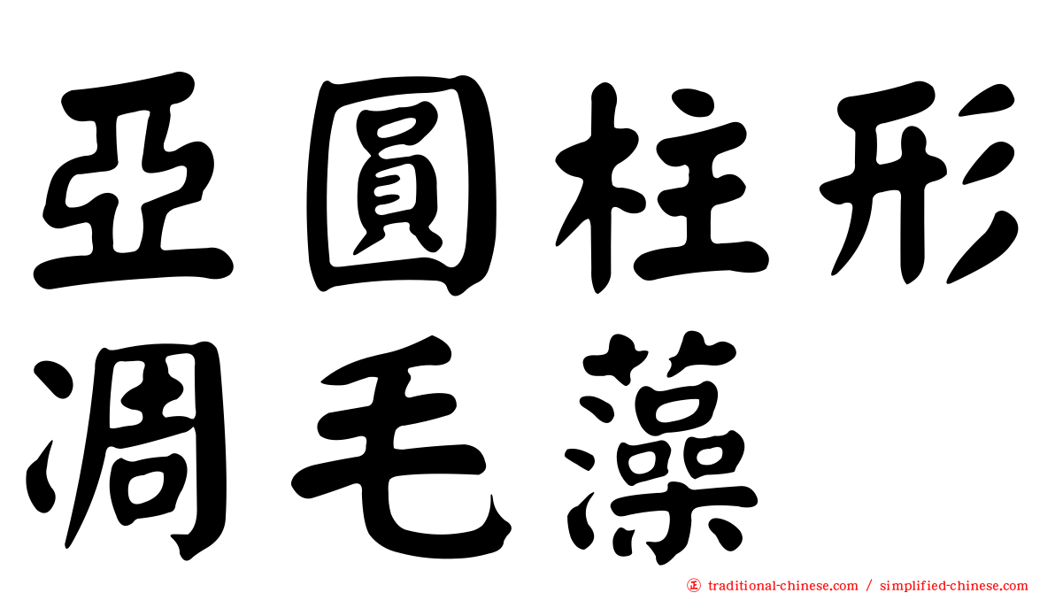 亞圓柱形凋毛藻