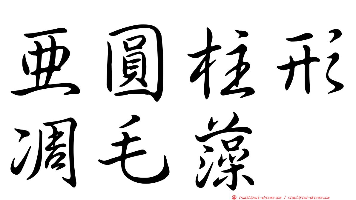 亞圓柱形凋毛藻