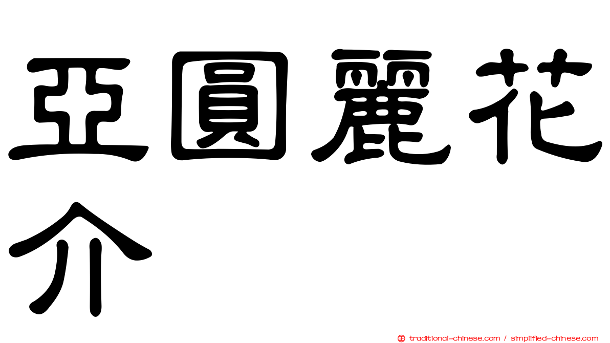 亞圓麗花介
