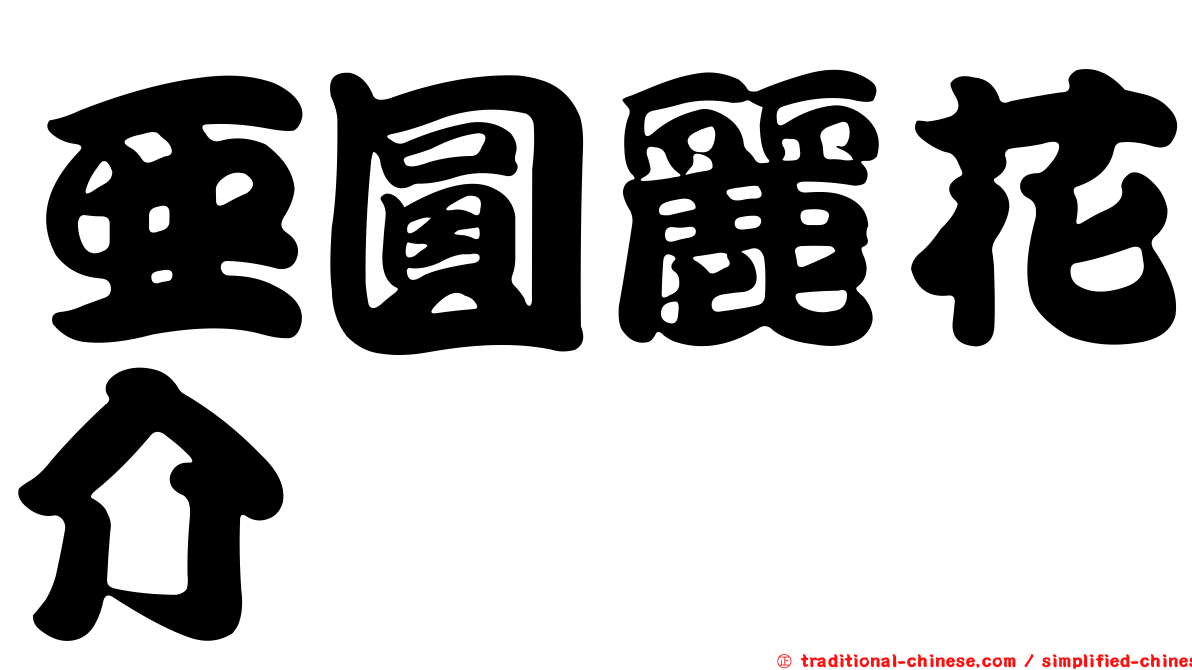 亞圓麗花介