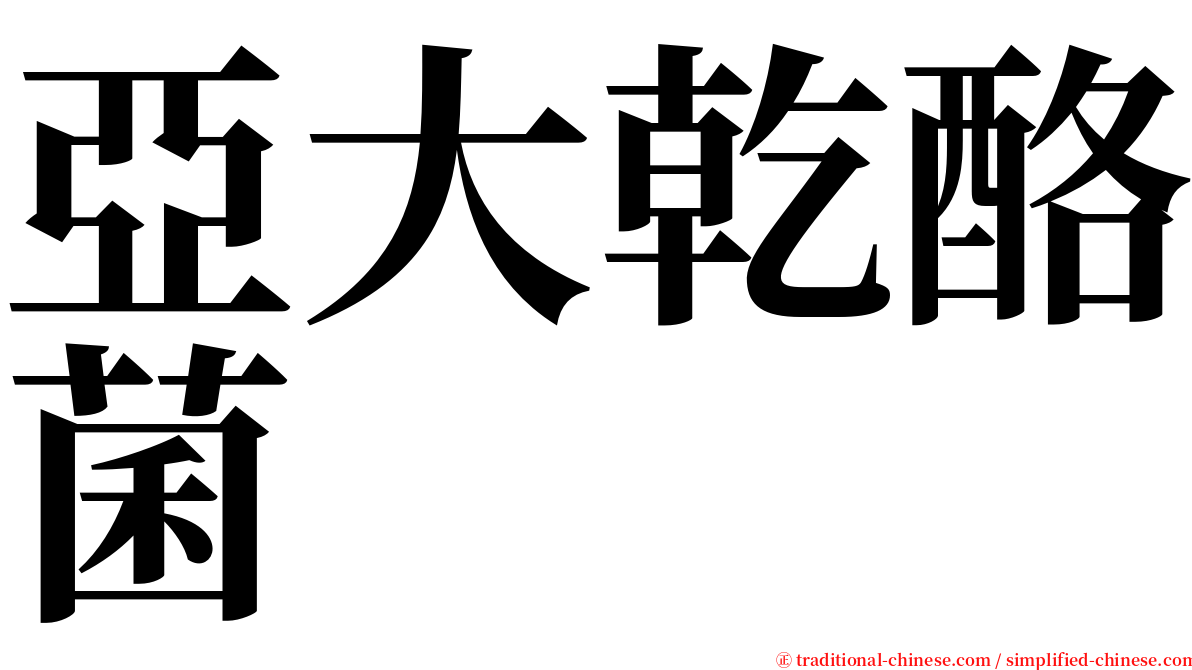 亞大乾酪菌 serif font