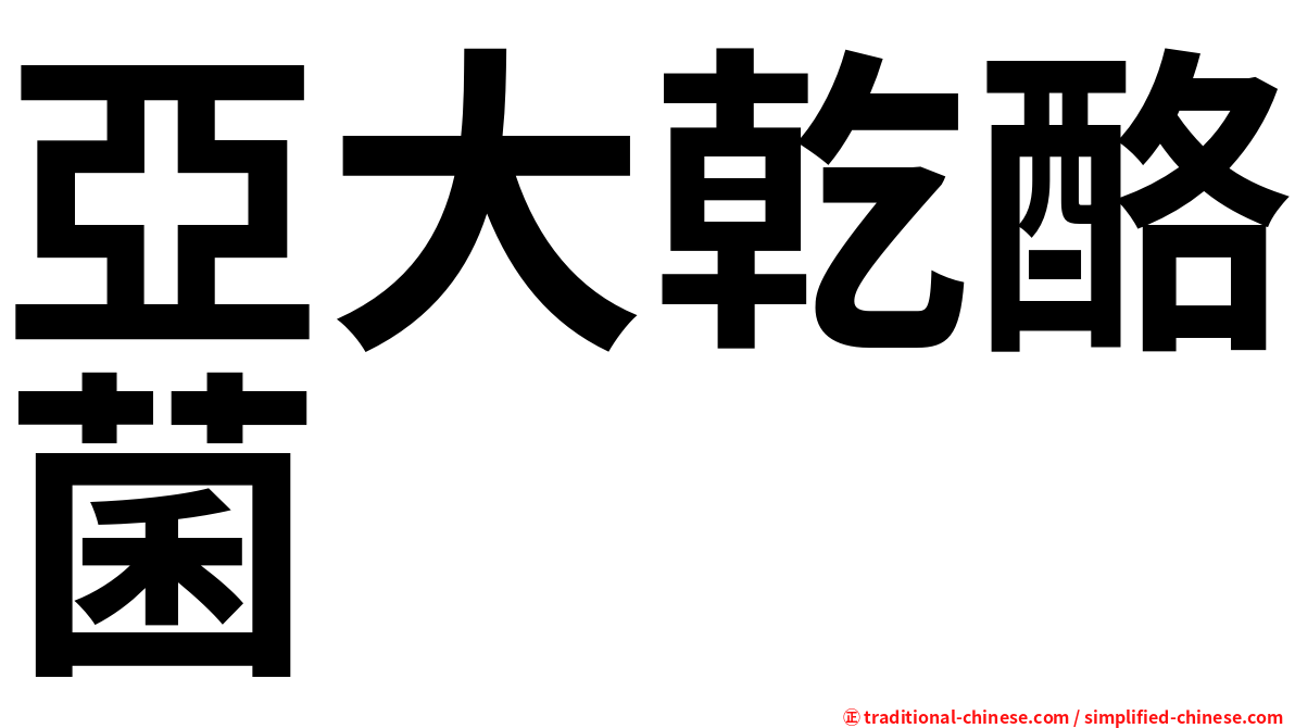 亞大乾酪菌