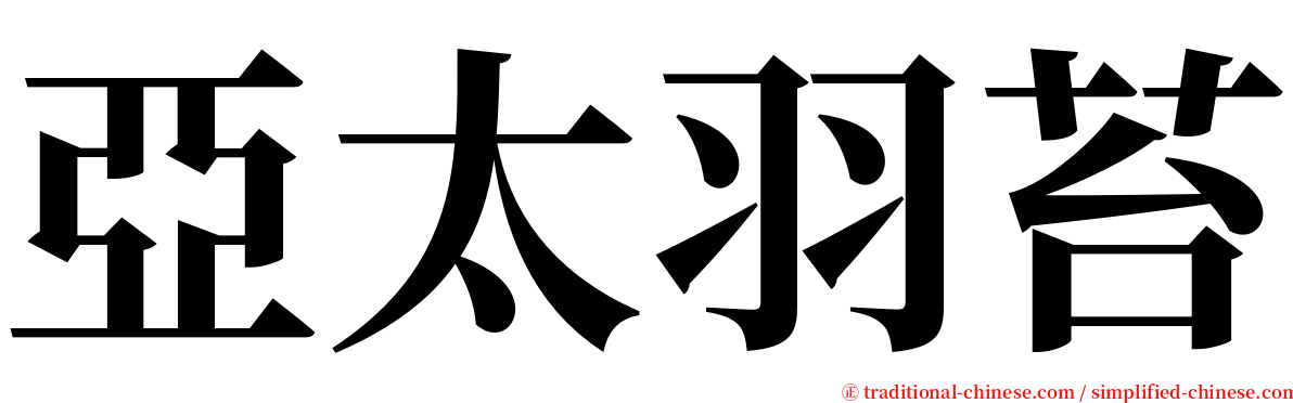 亞太羽苔 serif font