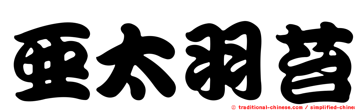 亞太羽苔