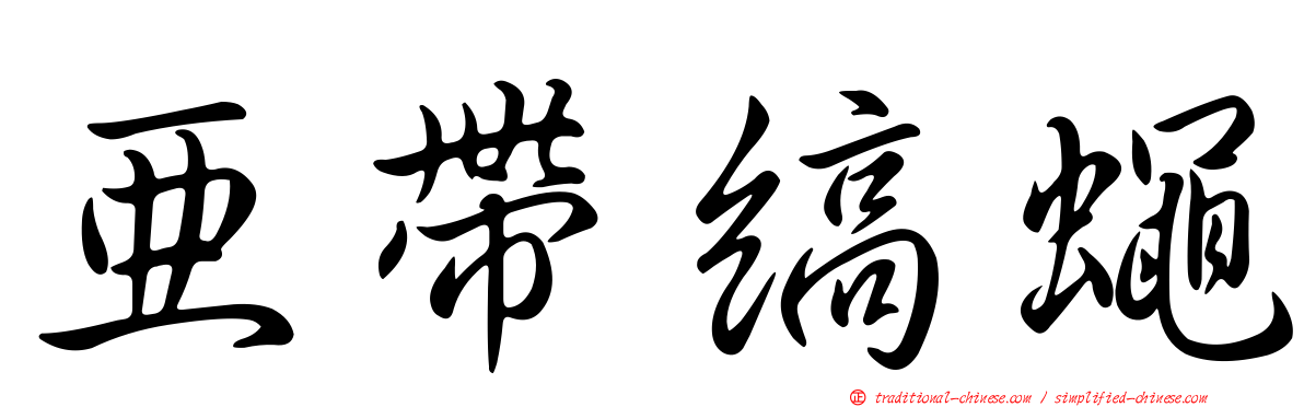 亞帶縞蠅