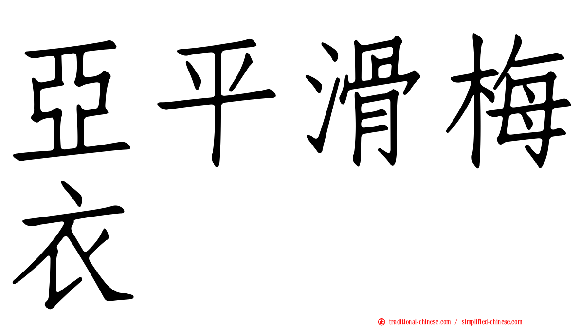 亞平滑梅衣
