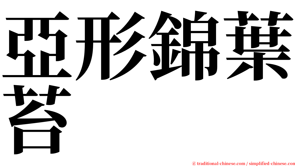 亞形錦葉苔 serif font