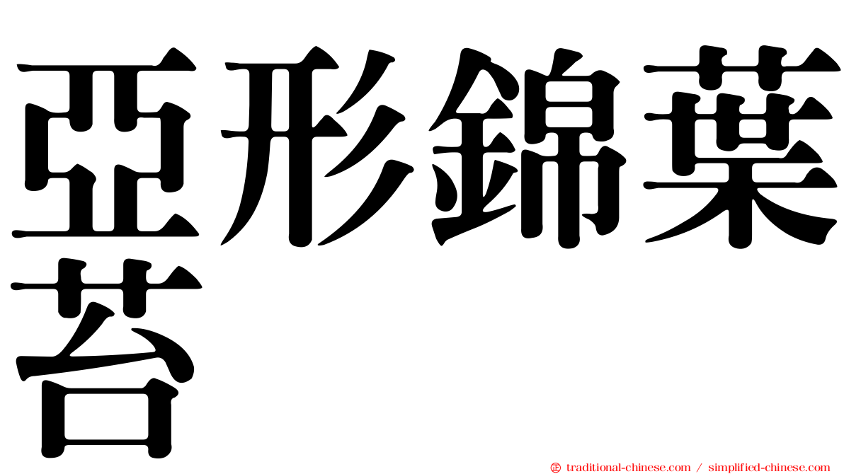 亞形錦葉苔