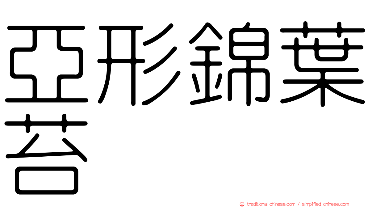 亞形錦葉苔