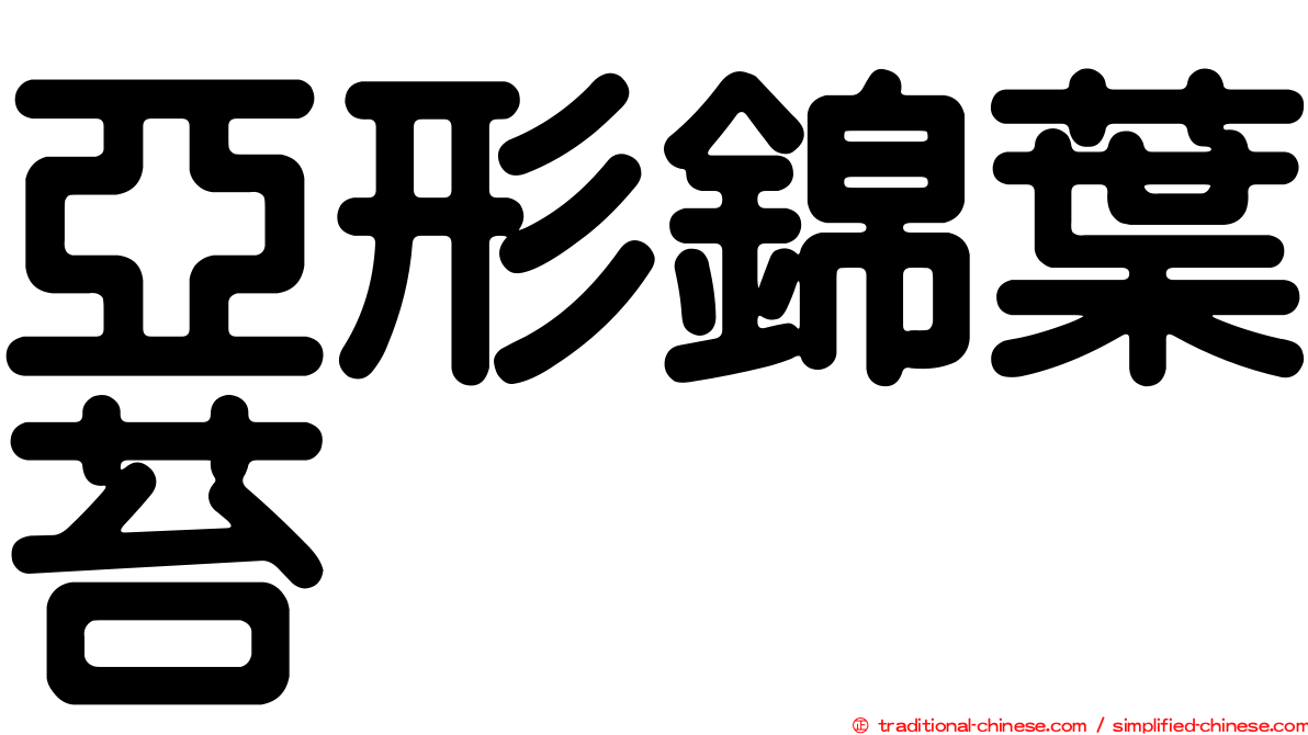亞形錦葉苔