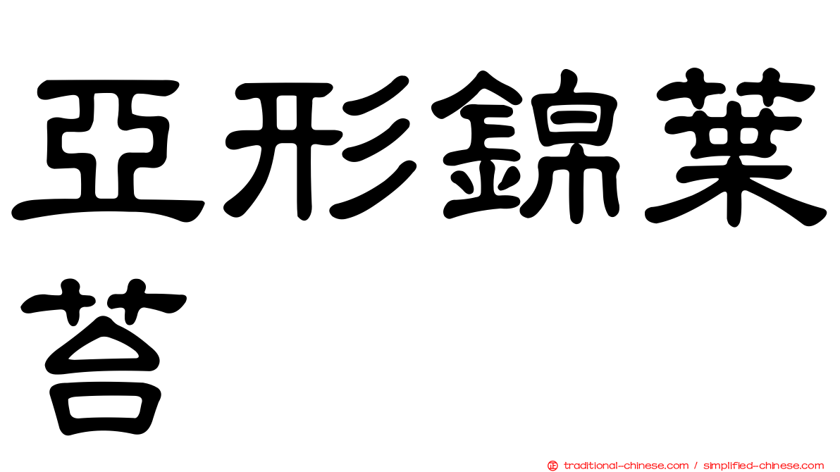 亞形錦葉苔