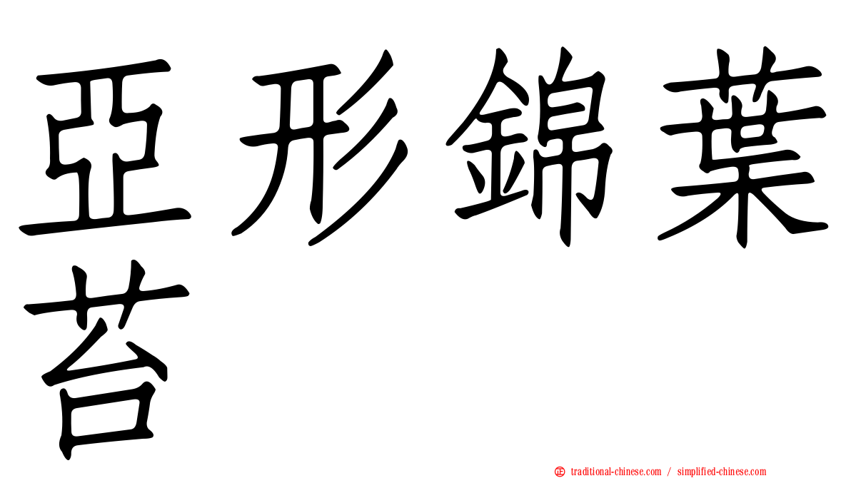 亞形錦葉苔