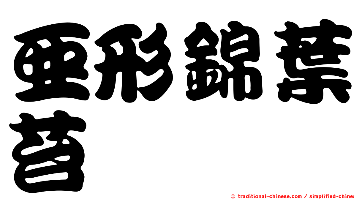 亞形錦葉苔