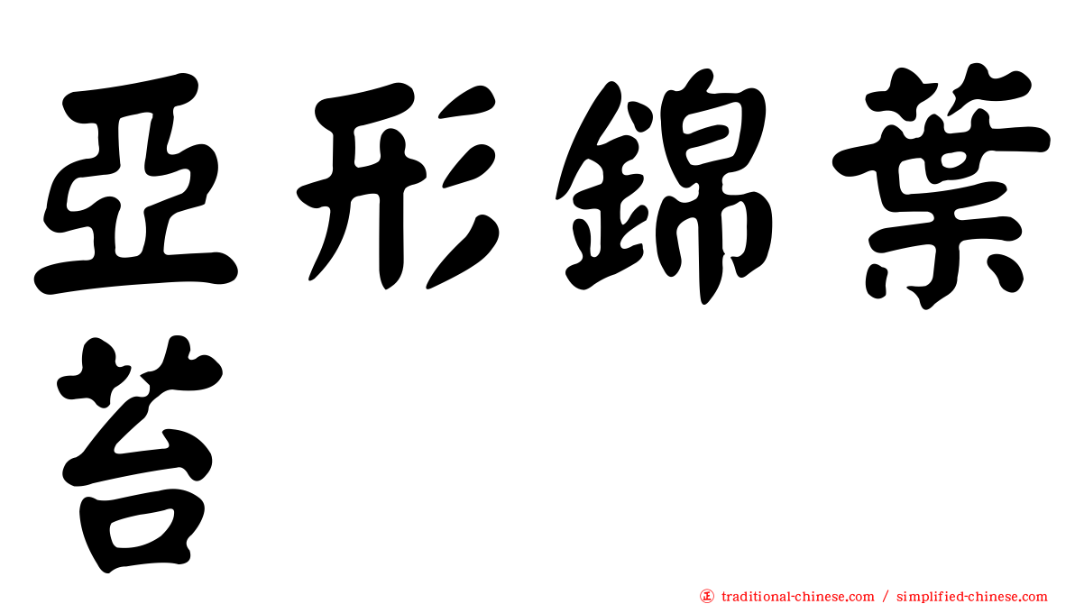亞形錦葉苔