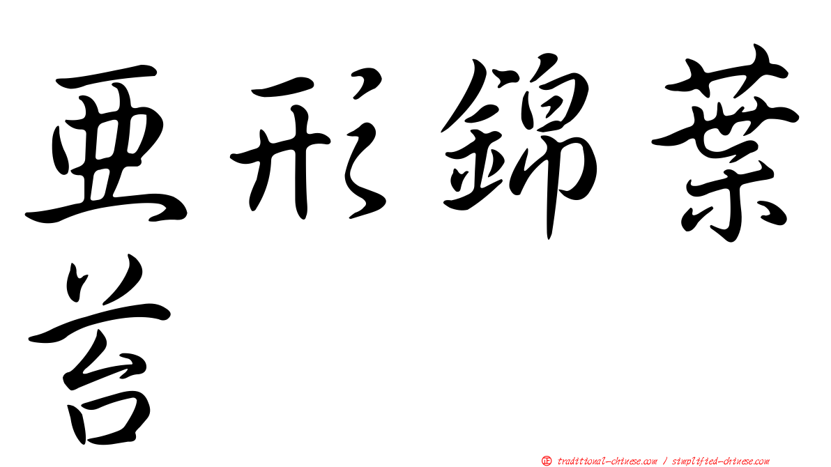 亞形錦葉苔