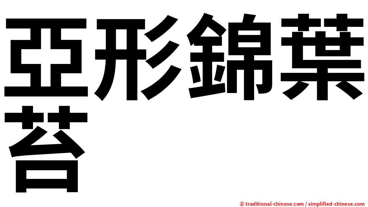 亞形錦葉苔