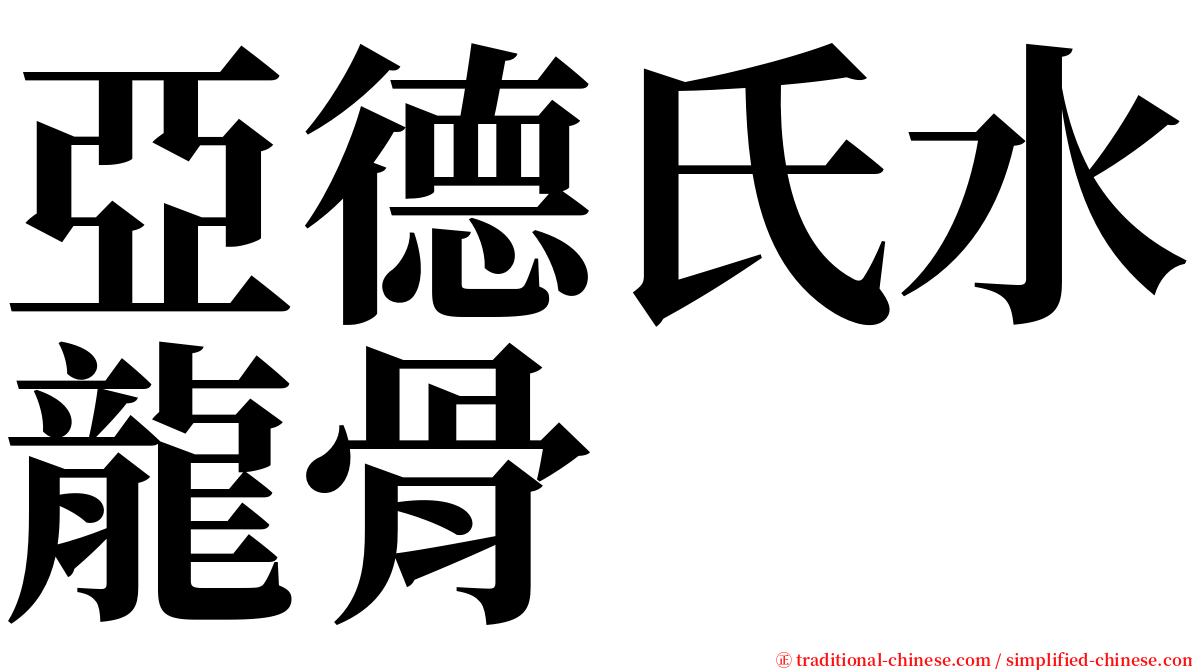 亞德氏水龍骨 serif font