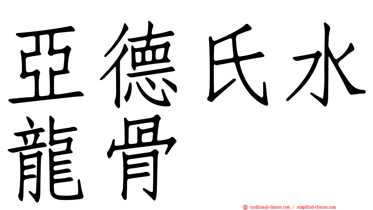 亞德氏水龍骨