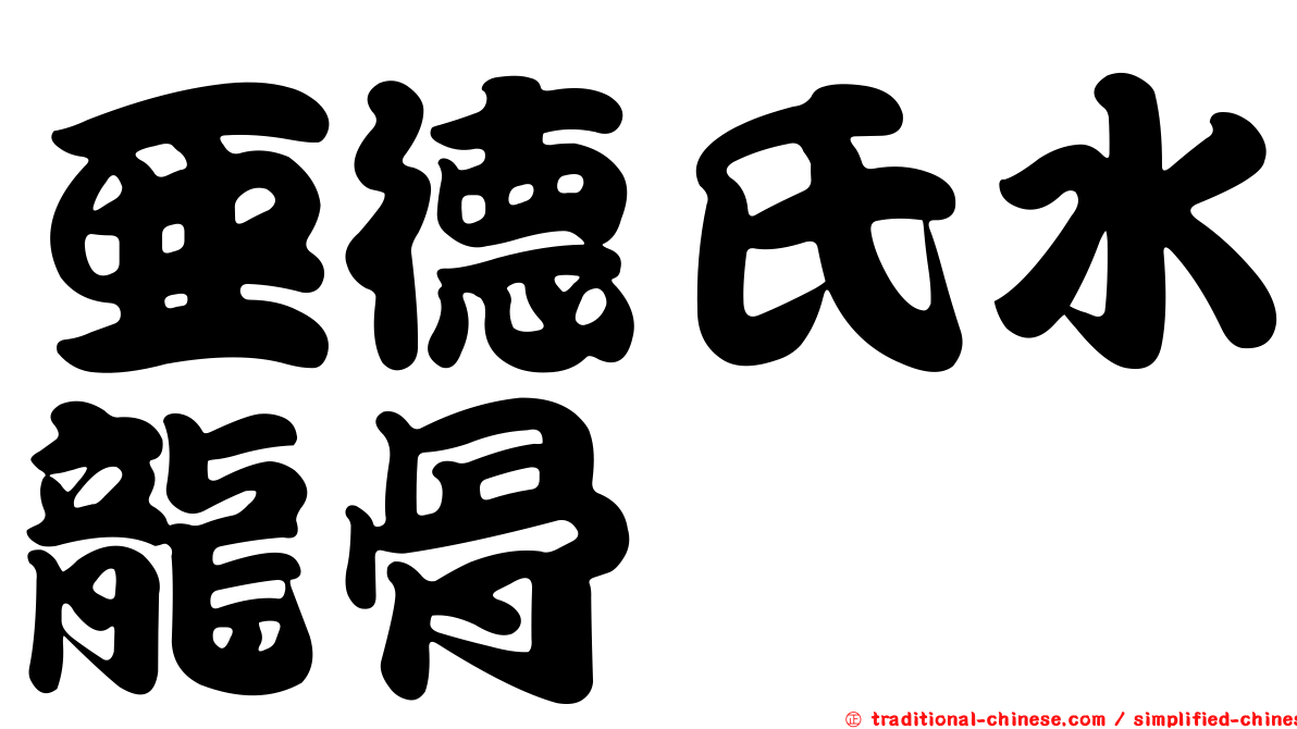 亞德氏水龍骨