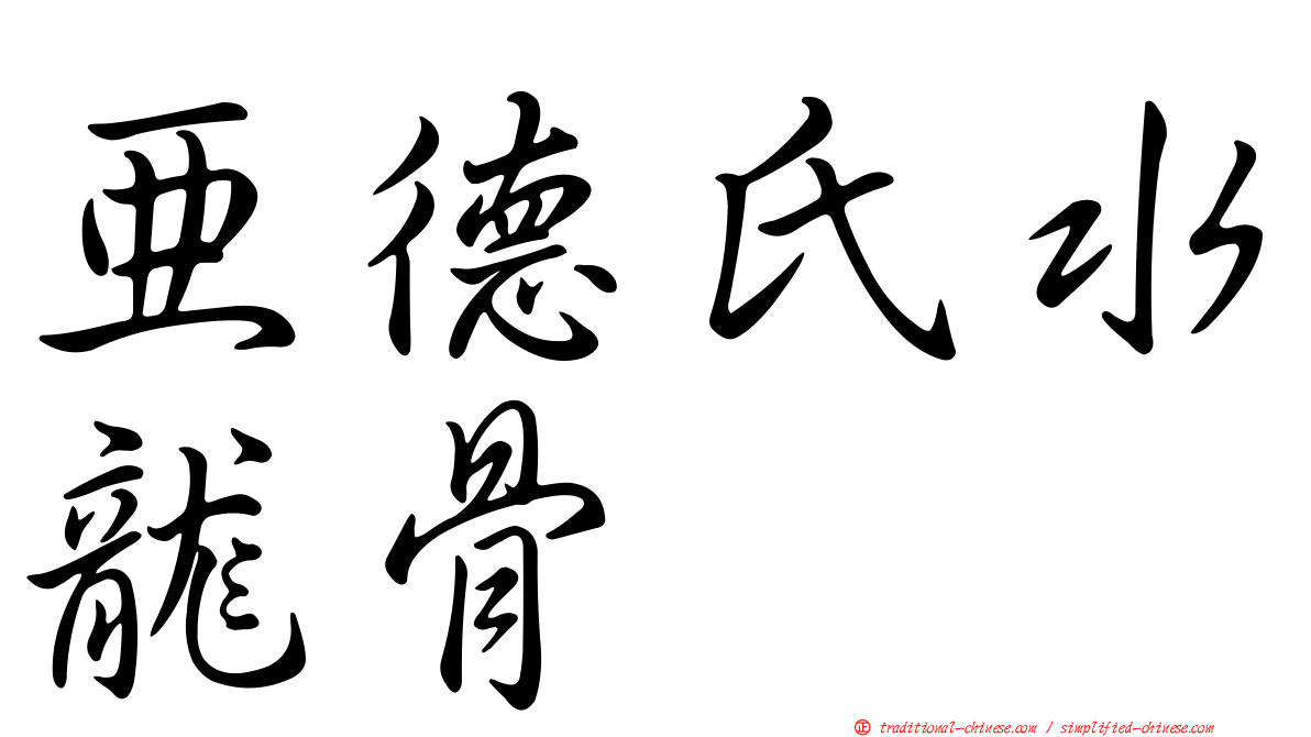 亞德氏水龍骨