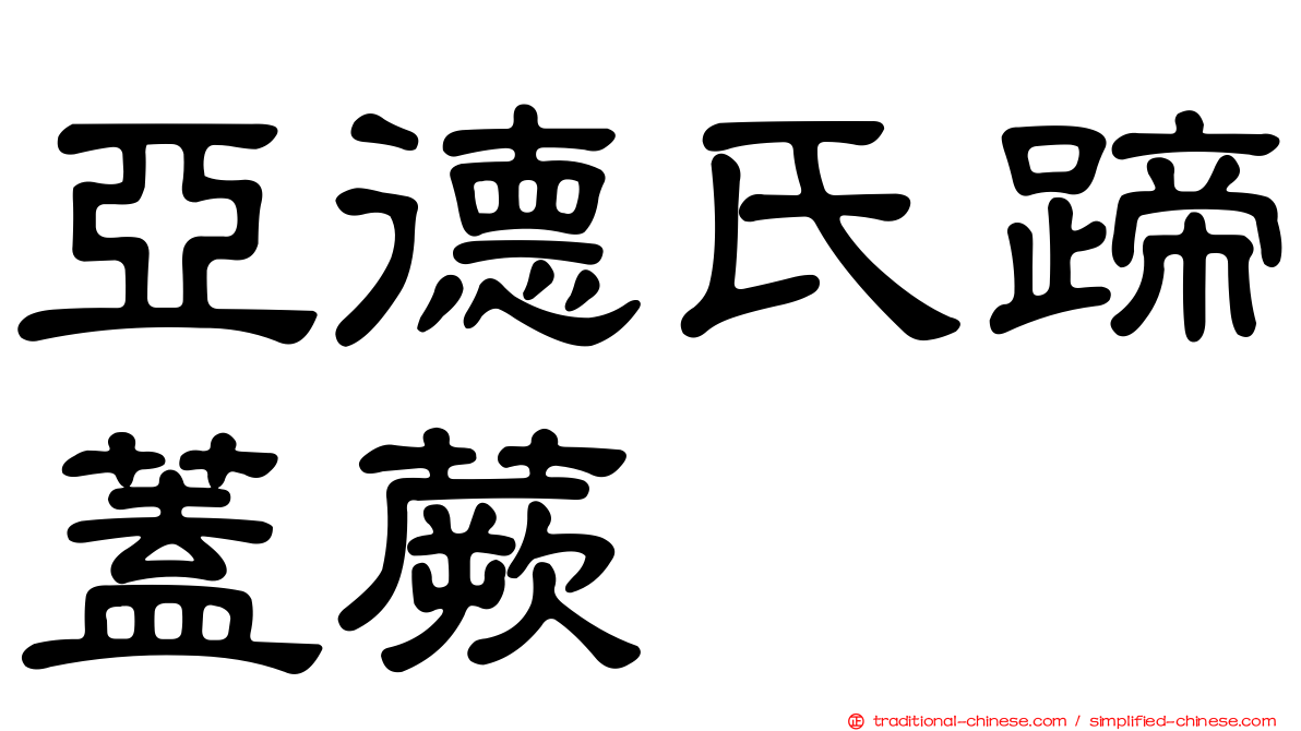 亞德氏蹄蓋蕨