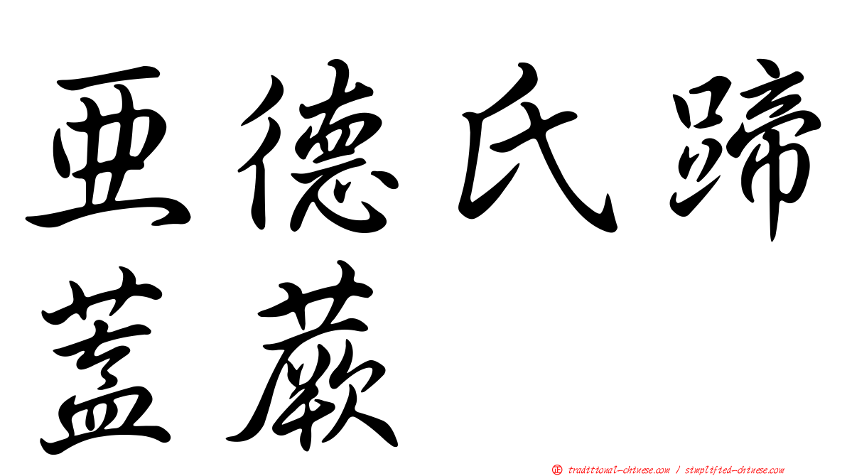 亞德氏蹄蓋蕨