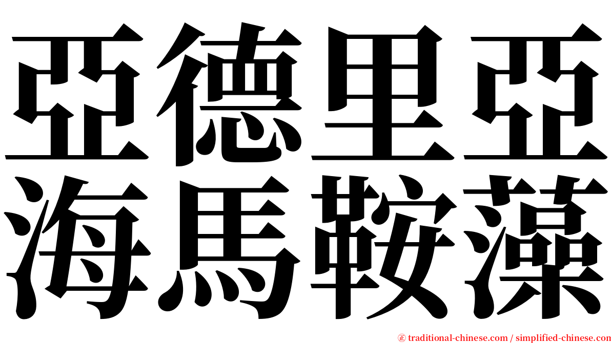 亞德里亞海馬鞍藻 serif font